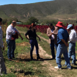 Visita a la cooperativa Diaguita Calchaqui Takellar