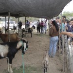 6ta Expo Caprina de Tucumán