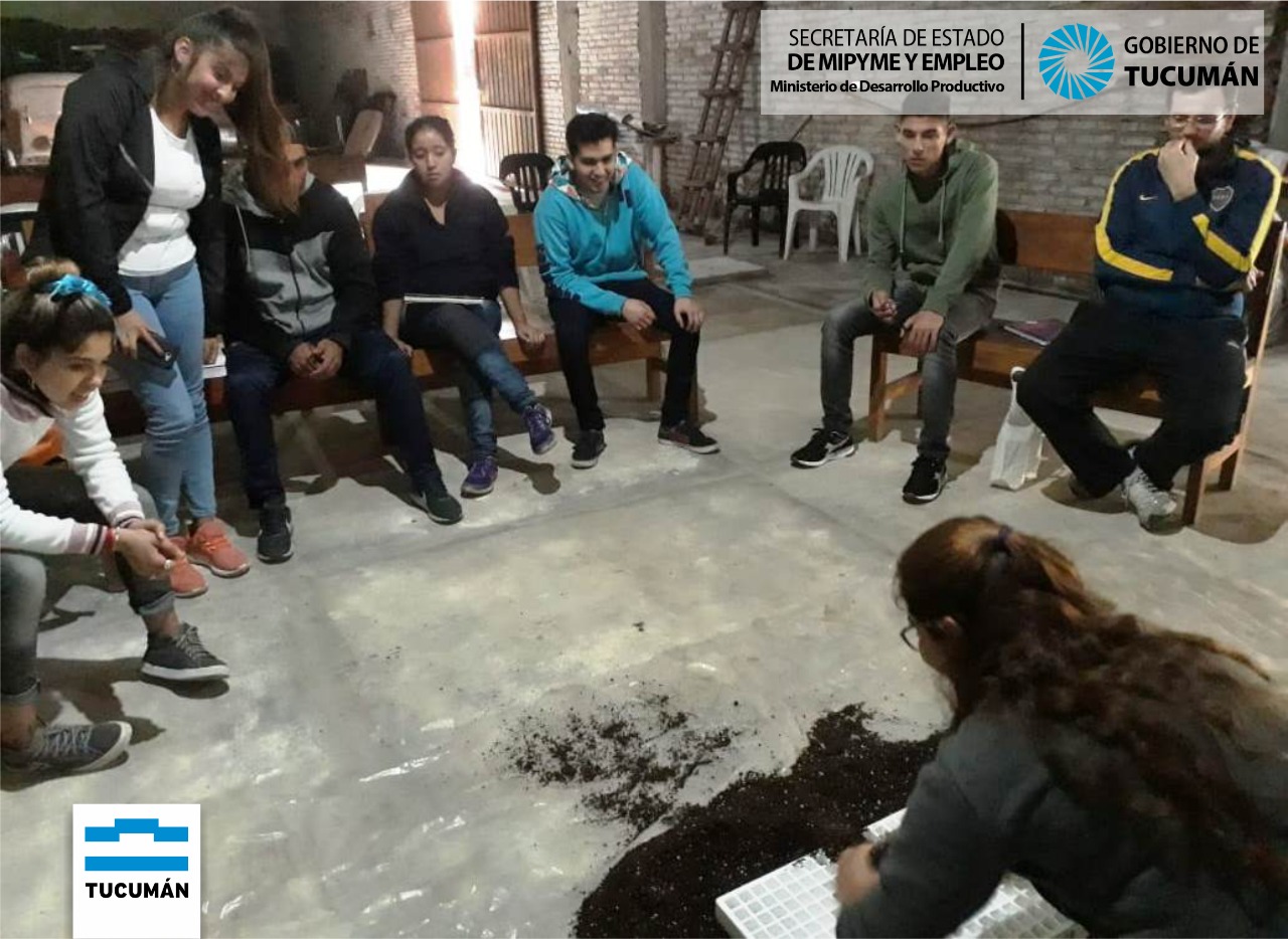 Técnicas innovadoras en cultivos de alimentos.