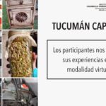 Participantes de Tucumán Capacita nos cuentan sus experiencias en la modalidad virtual